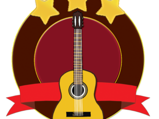 Level 3 Guitar Icon