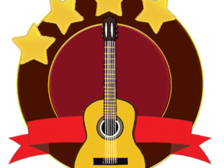 Level 4 Guitar Icon