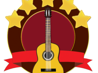 Level 5 Guitar Icon